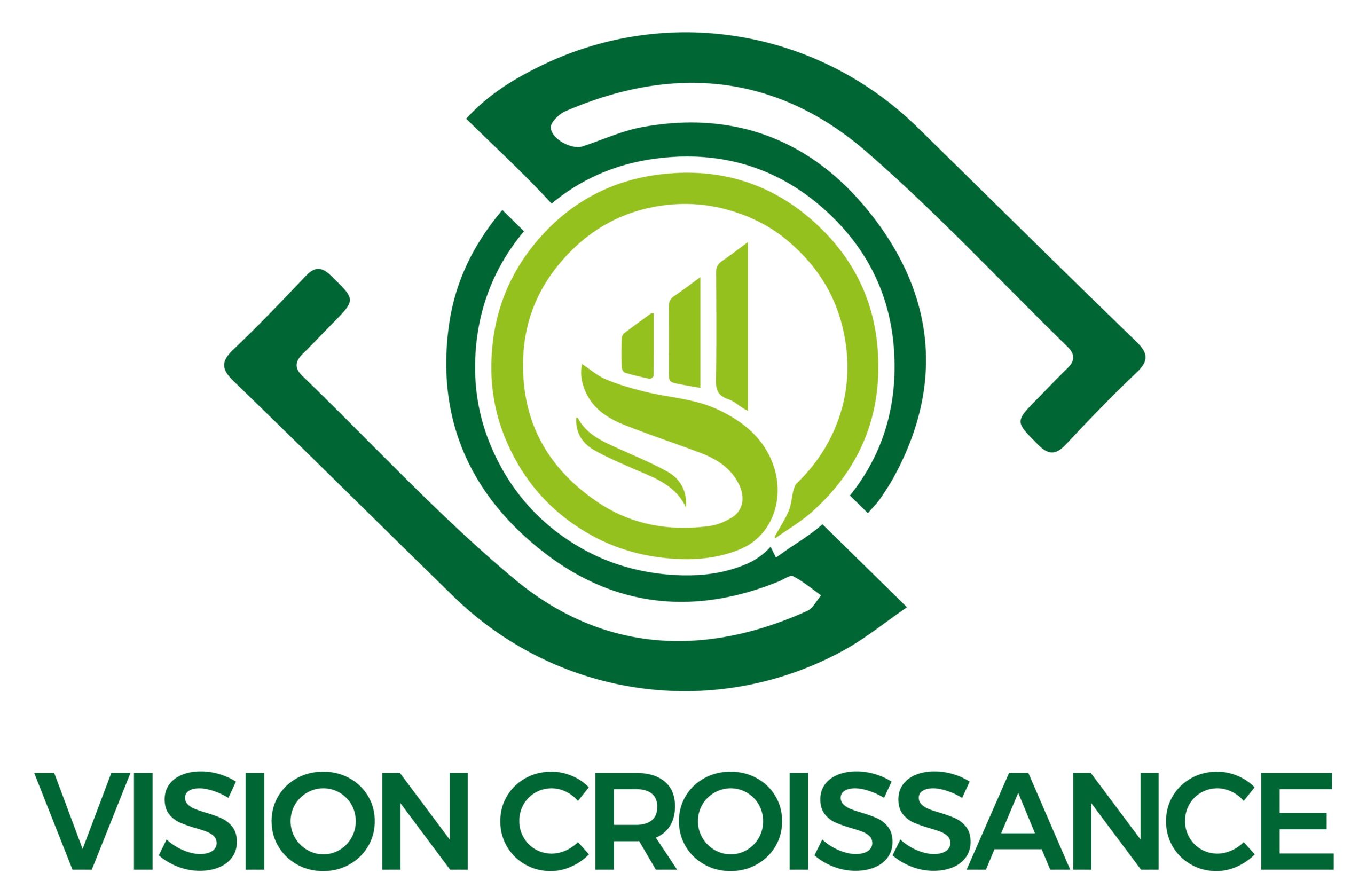 Vision Croissance